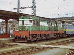 770016a.jpg