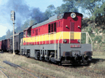 770023a.jpg