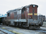 770025a.jpg