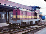 770036a.jpg
