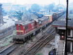 770040a.jpg