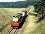 770053a.jpg