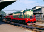 770074a.jpg