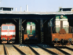 770074b.jpg