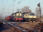 770080a.jpg