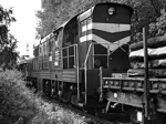 770509a.jpg