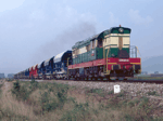 770511e.jpg