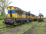 770514a.jpg