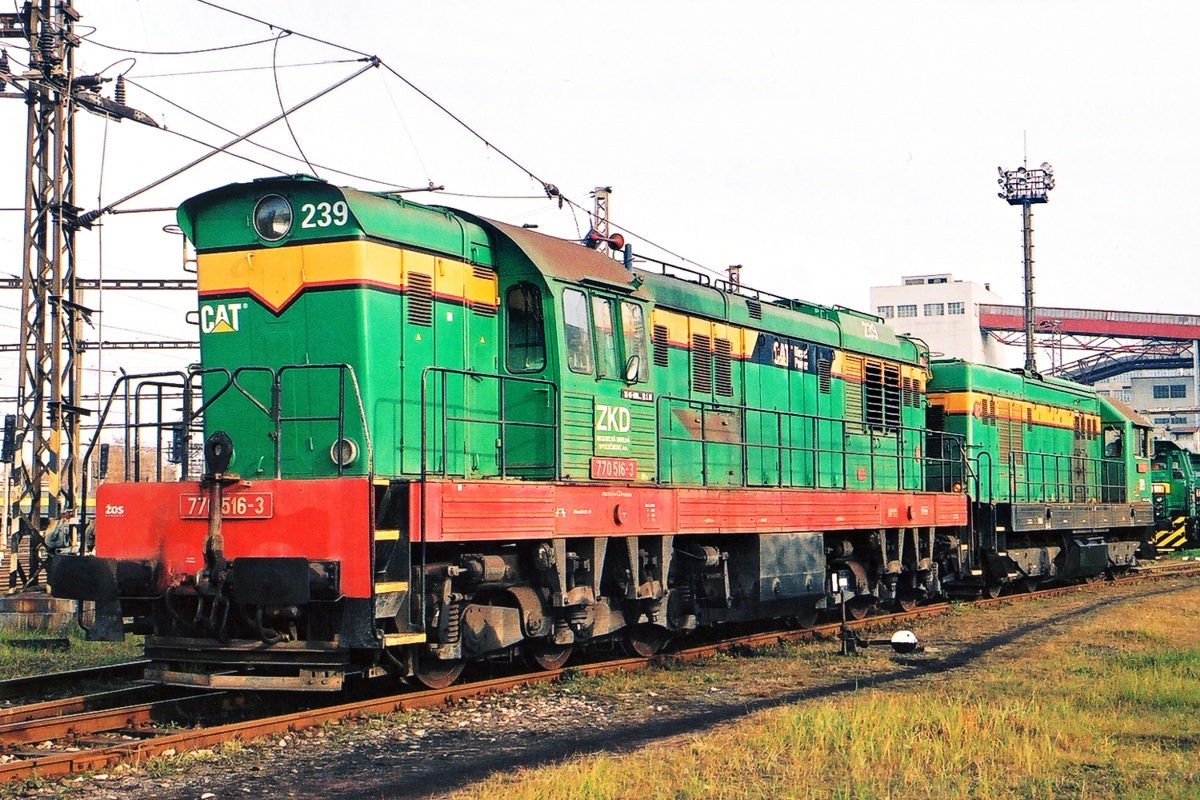 [1200x800] 770516a.jpg