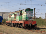 770811a.jpg
