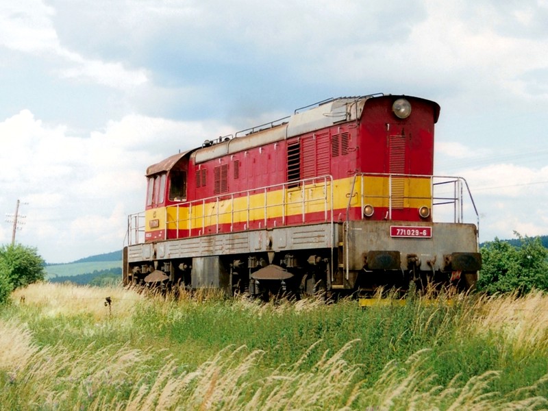 [800x600] 771029a.jpg