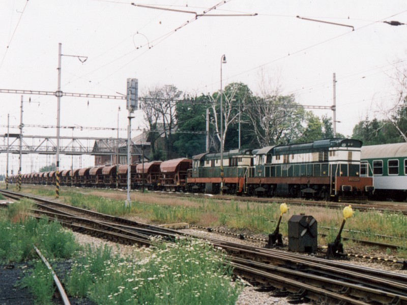 [800x600] 771032a.jpg