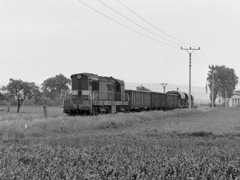 [800x600] 771069b.jpg