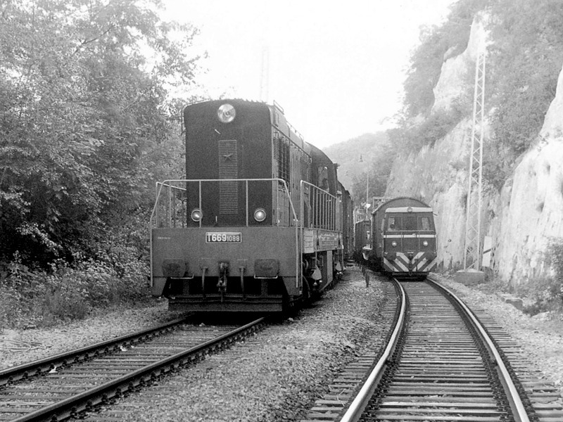 [800x600] 771088a.jpg