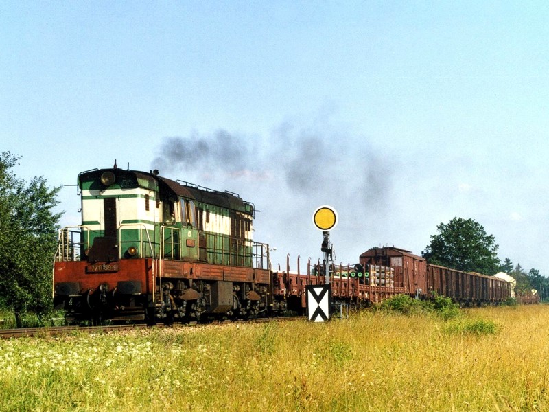 [800x600] 771099a.jpg