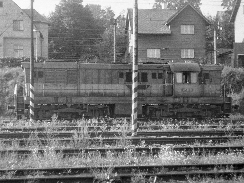 [800x600] 771113a.jpg