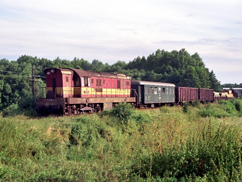 [800x600] 771115c.jpg