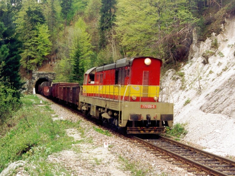 [800x600] 771128b.jpg