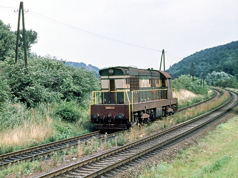 [800x600] 771133b.jpg