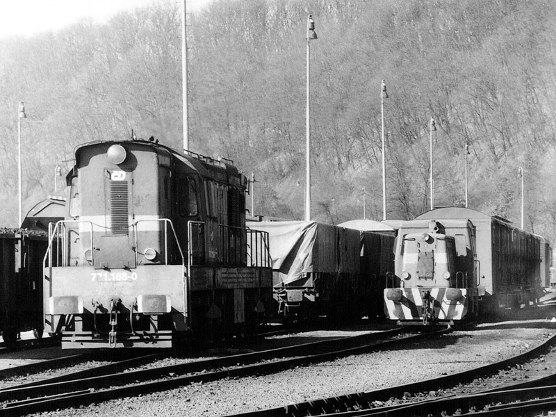 [800x600] 771188b.jpg