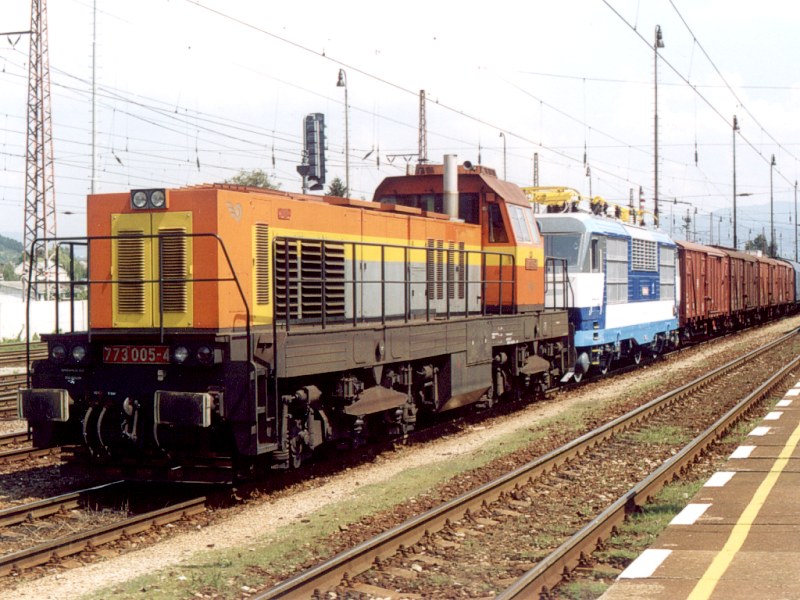 [800x600] 773005b.jpg