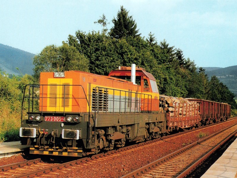 [800x600] 773005d.jpg