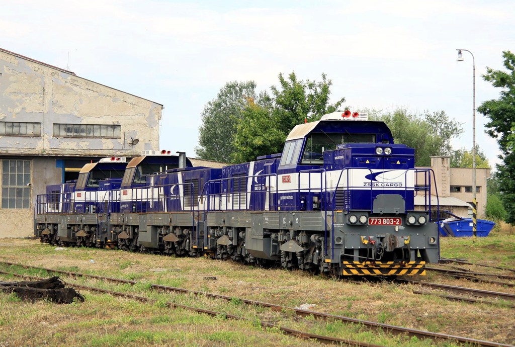 [1024x690] 773803b.jpg