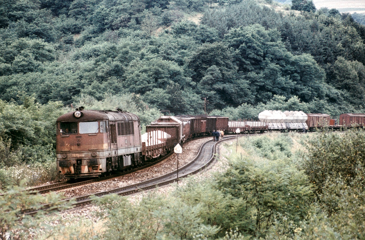 [1200x790] 776012f.jpg