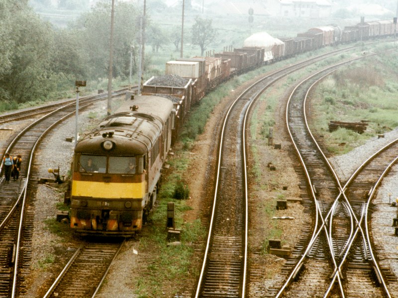 [800x600] 776013d.jpg