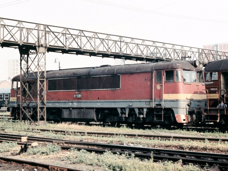 [800x600] 776014b.jpg