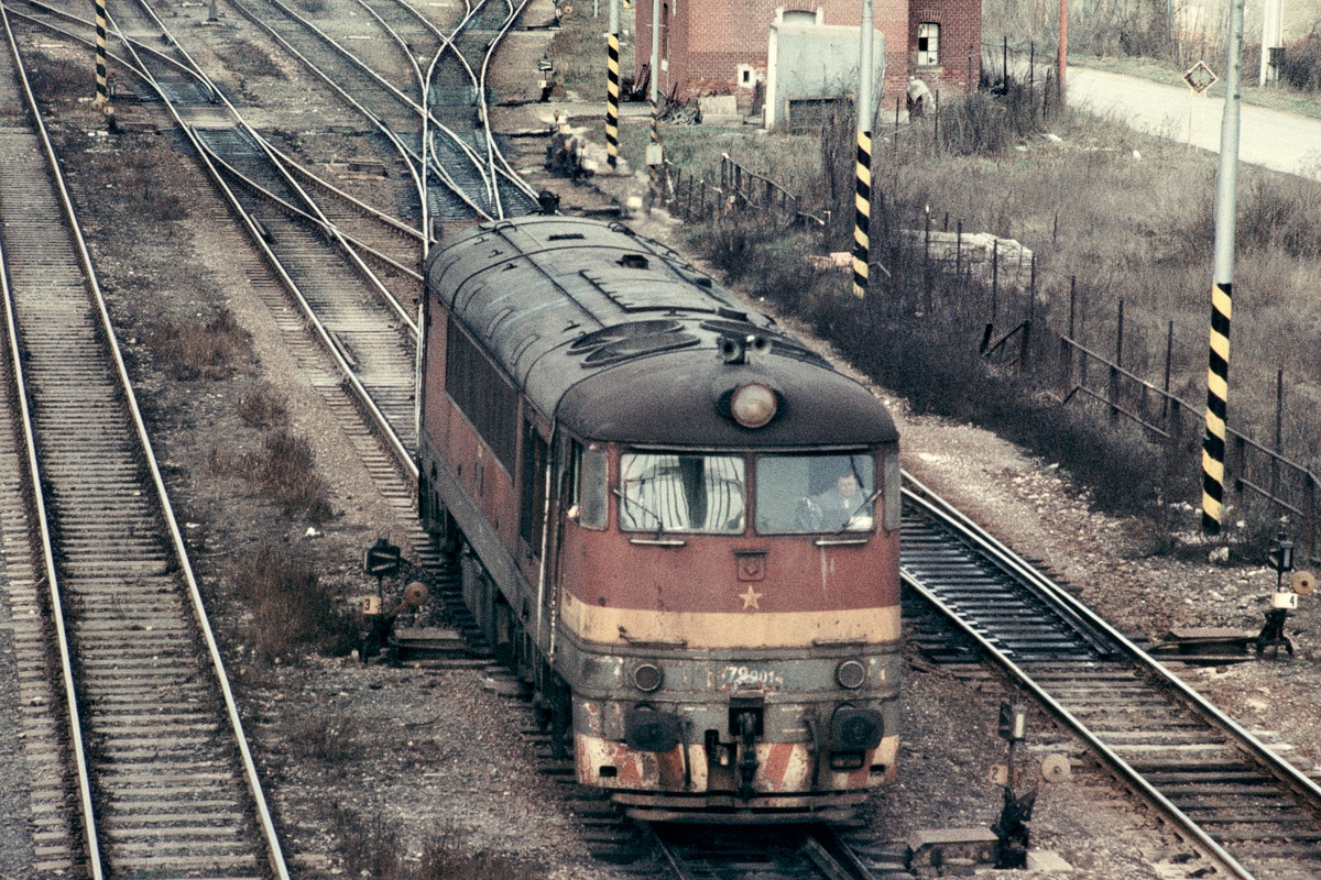 [1200x800] 776014d.jpg