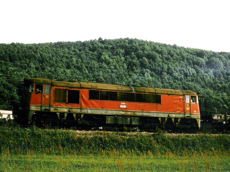 [800x600] 776015p.jpg