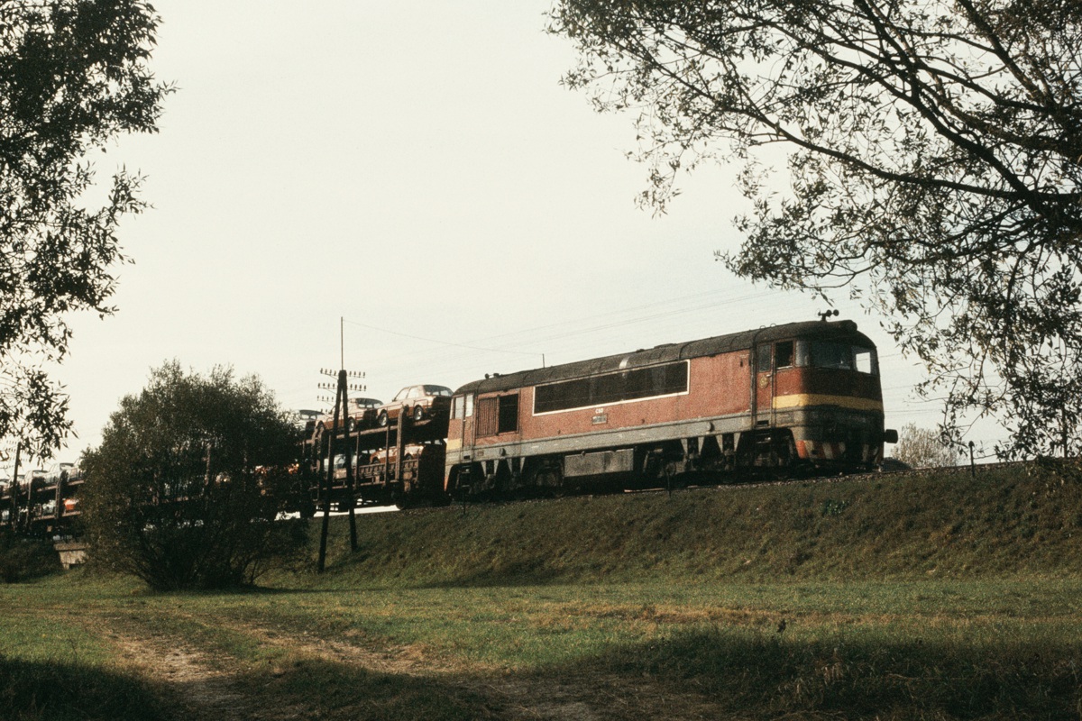 [1200x800] 776016e.jpg