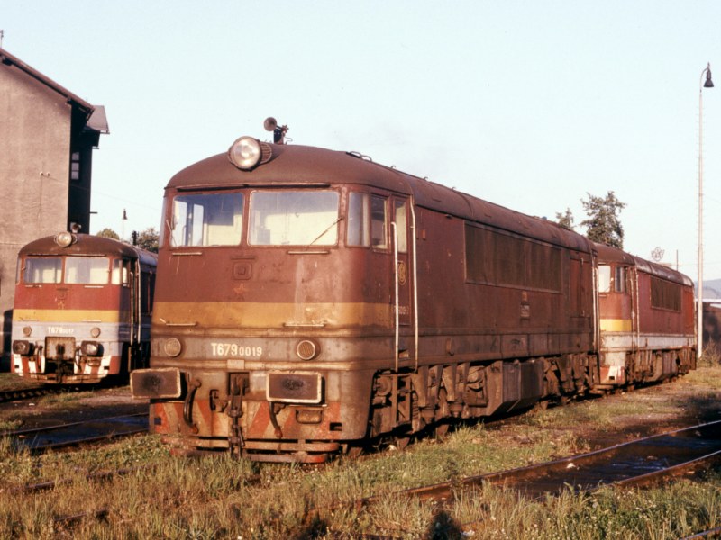 [800x600] 776019o.jpg