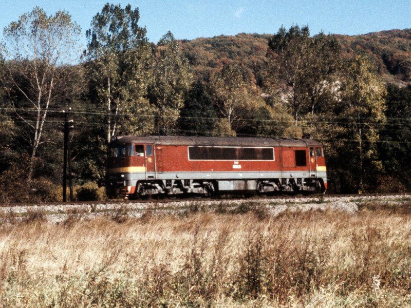 [800x600] 776019r.jpg