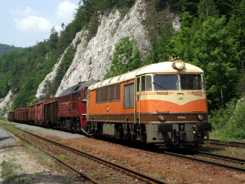 [800x600] 776019u.jpg