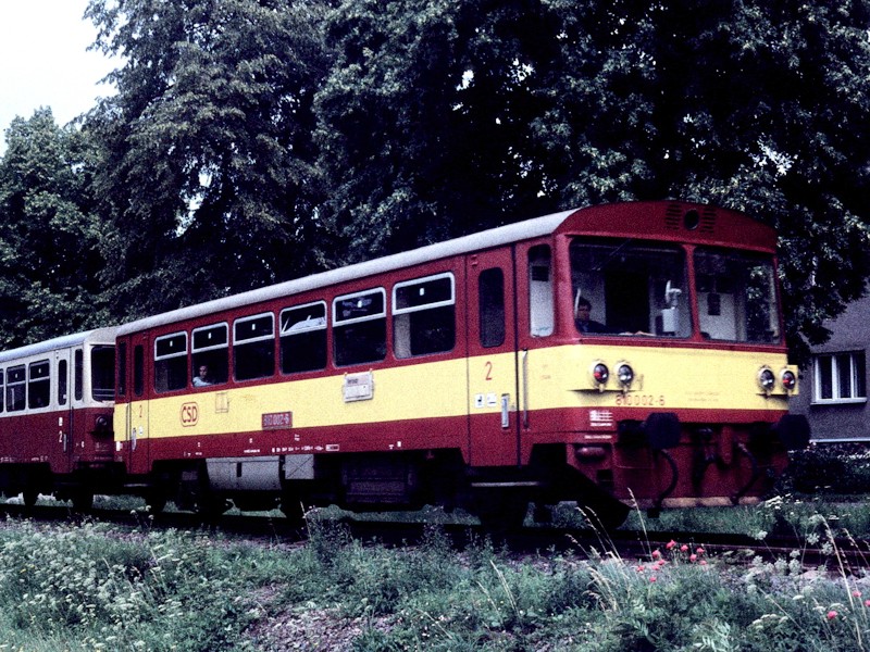 [800x600] 810002i.jpg