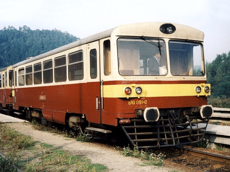 [800x600] 810081a.jpg