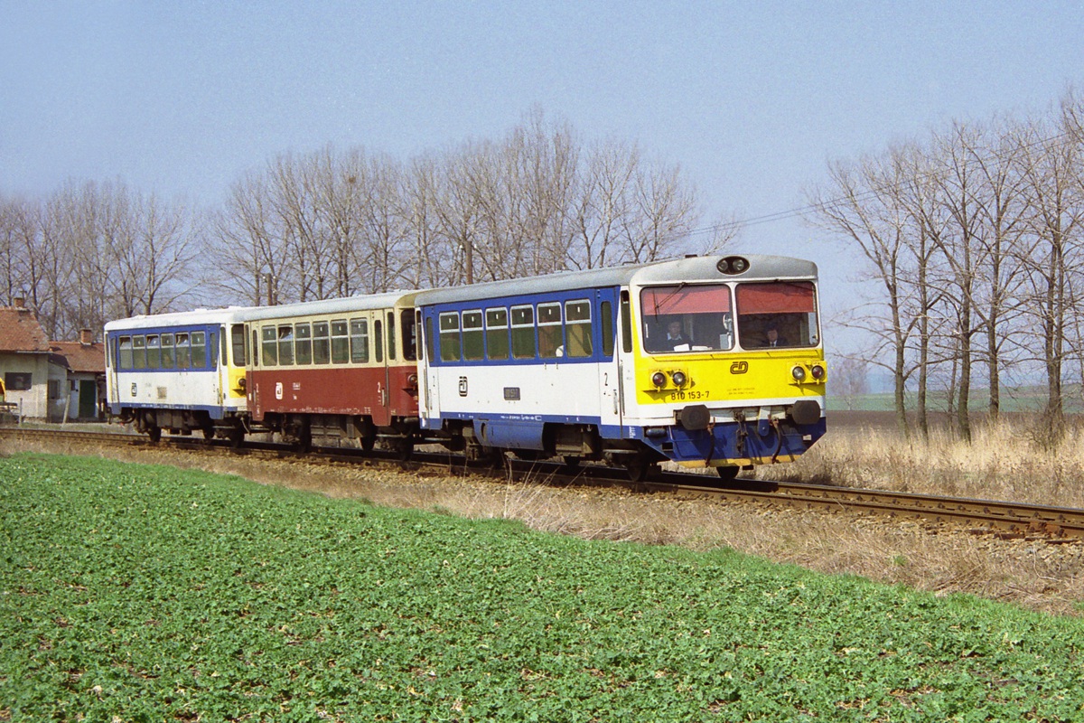 [1200x800] 810153b.jpg