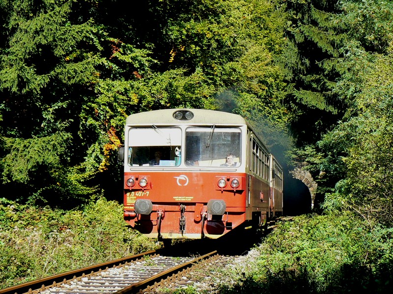 [800x600] 810407a.jpg