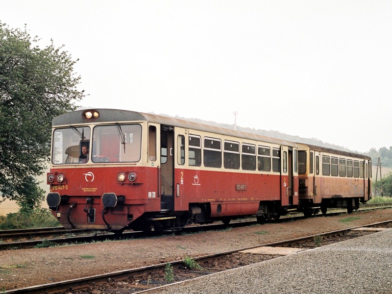 [800x600] 810447a.jpg