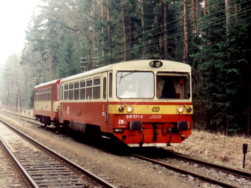 [800x600] 810571a.jpg