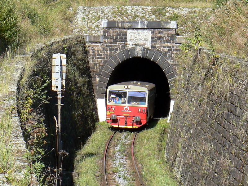 [800x600] 810626b.jpg