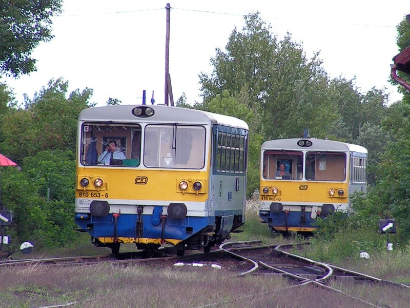 [800x600] 810653a.jpg