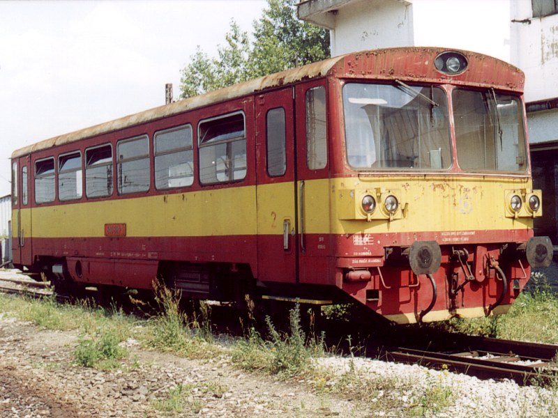 [800x600] 810801c.jpg