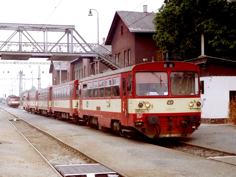 [800x600] 811082d.jpg