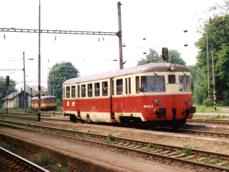 [800x600] 820057c.jpg