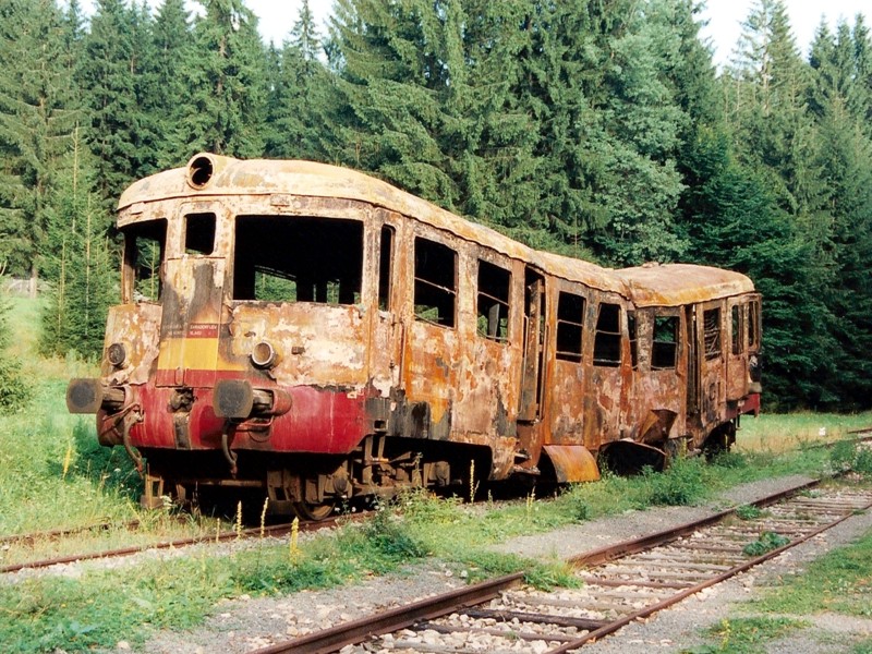 [800x600] 820081b.jpg