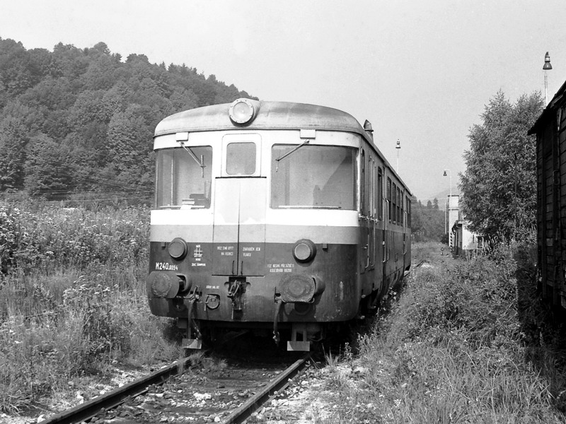 [800x600] 820094a.jpg