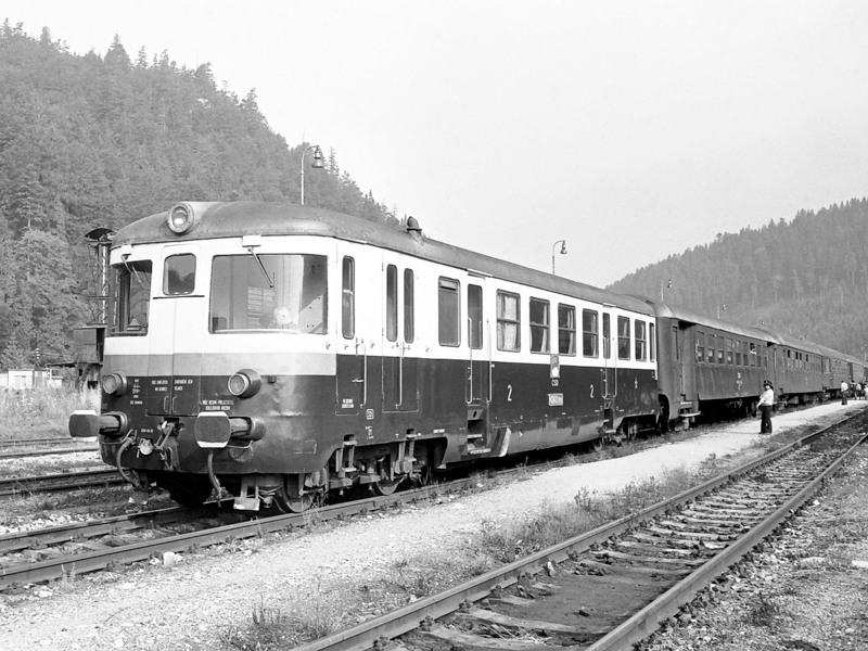 [800x600] 820102a.jpg